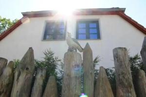 Haus Buhneneck, Ostseebad Prerow