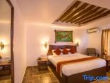 Junior Suite with garden view