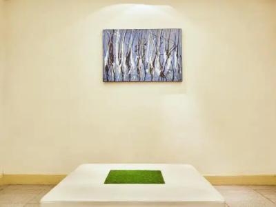 Baiyoke Suite - 29