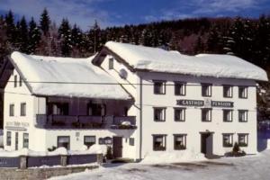 Zur Alten Dampfsage - Gasthaus-Pension Weber, Lindberg