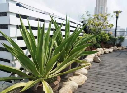 iCheck inn Mayfair Pratunam - 15