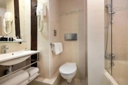 Relais Hôtel du Vieux Paris - 111