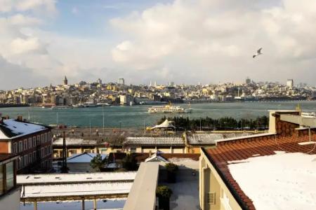 Sayeban Gold - 26