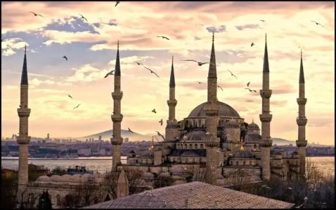 Sayeban Gold - 42