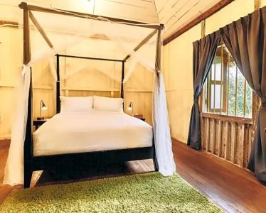 Temple Tree Resort - 18