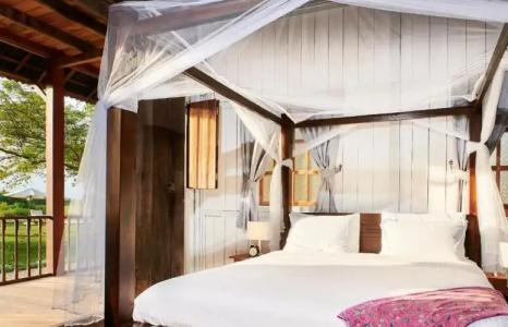 Temple Tree Resort - 188