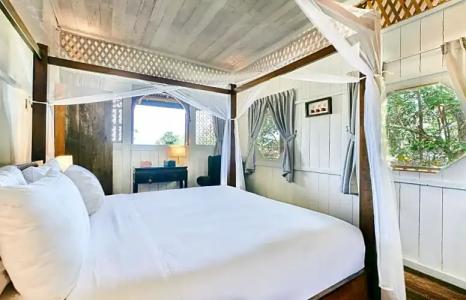 Temple Tree Resort - 276