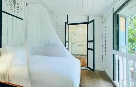 Temple Tree Resort - 252