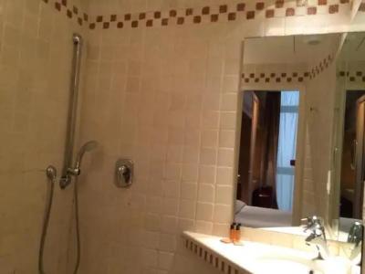 Hôtel du Vieux Marais - 39