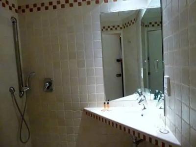 Hôtel du Vieux Marais - 36