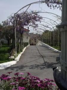 Il Borgo degli Ulivi Resort - 9