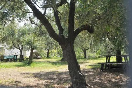 Il Borgo degli Ulivi Resort - 18