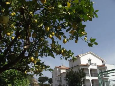 Il Borgo degli Ulivi Resort - 25