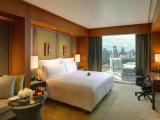 Deluxe Accessible Double room