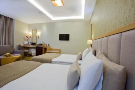 The Parma & Spa Taksim - 123