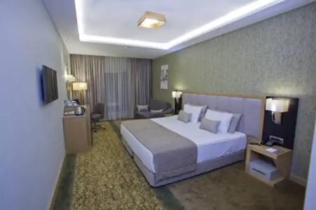 The Parma & Spa Taksim - 130