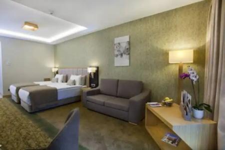 The Parma & Spa Taksim - 126
