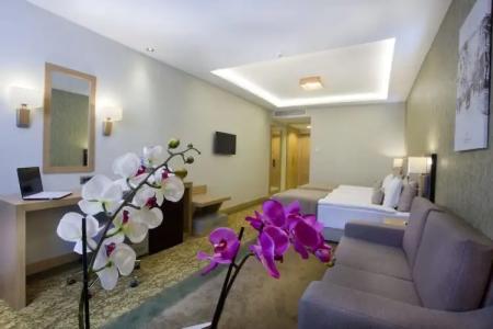 The Parma & Spa Taksim - 165