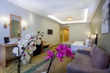 The Parma & Spa Taksim - 105