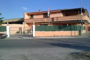 B&B Express, Canisi