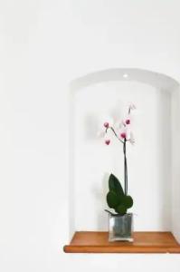 Botanico San Lazzaro - 248