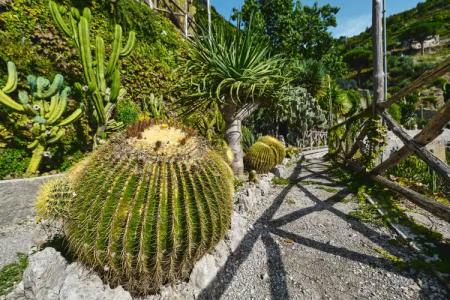 Botanico San Lazzaro - 6