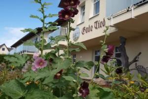 Hotel Gode Tied, Zingst