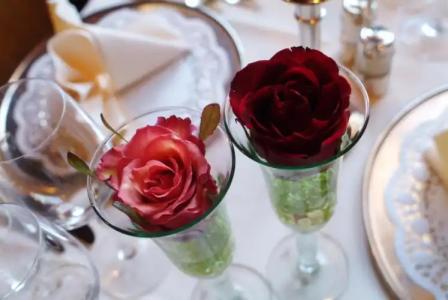 & Restaurant Walfisch - 4