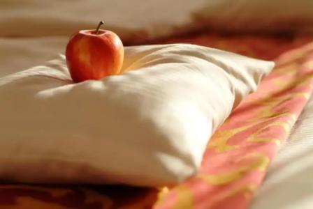 & Restaurant Walfisch - 9