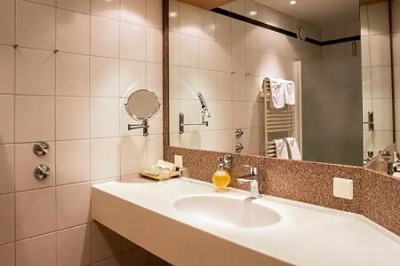 Best Western Premier Rebstock - 118