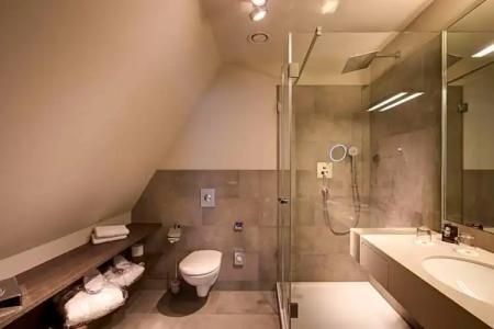 Best Western Premier Rebstock - 167