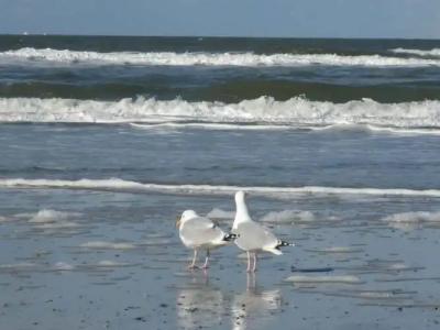 RingResidenz Wittmund - 16