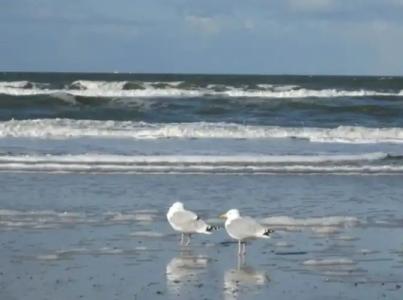 RingResidenz Wittmund - 17