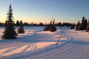 Sonnenhof-Willingen, Willingen