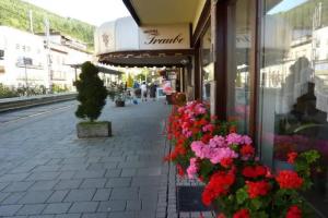 Hotel Traube, Bad Wildbad