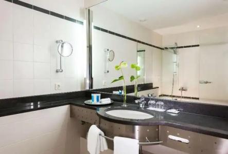 Dorint Pallas Wiesbaden - 51