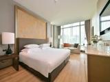 Executive Deluxe with Lounge Access Double room
