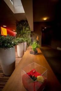 Royal Antibes - Luxury, Résidence, Beach & Spa - 13