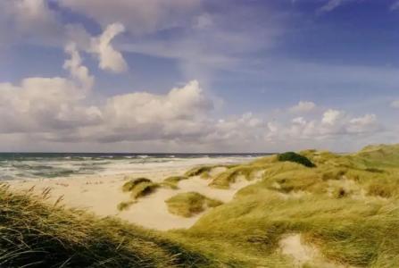 StrandMonbijou GmbH garni - 56