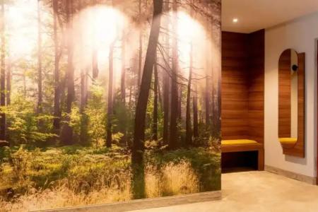 WaldTannenhäuschen - 107