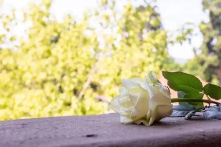 Erbprinzenpalais - 73