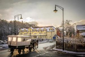 Boutiquehotel Schlosspalais, Wernigerode