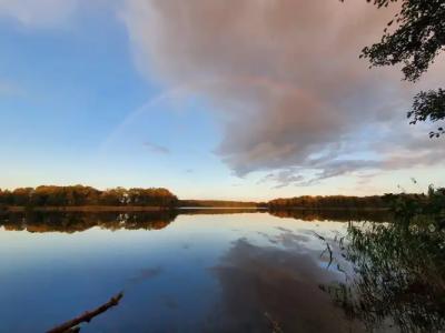 Zum Rittmeister - 14