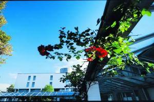 Best Western Parkhotel Weingarten, Weingarten