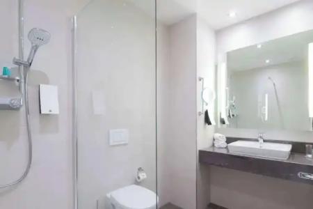 Best Western Dreiländerbrücke Weil am Rhein / Basel - 76