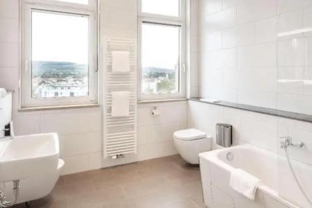 Best Western Dreiländerbrücke Weil am Rhein / Basel - 66