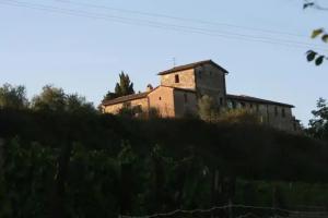 Podere Calcinaia, Castelnuovo Berardenga