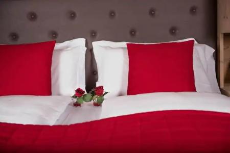 Francesin Active - 135