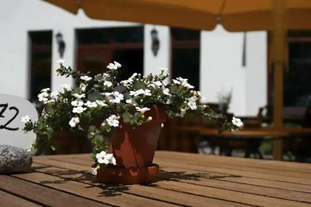 RingWarnemünder Hof - 47