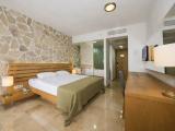 Standard Double room with garden view